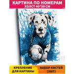 Картина по номерам Hobby Paint Игра в мяч в ассортименте