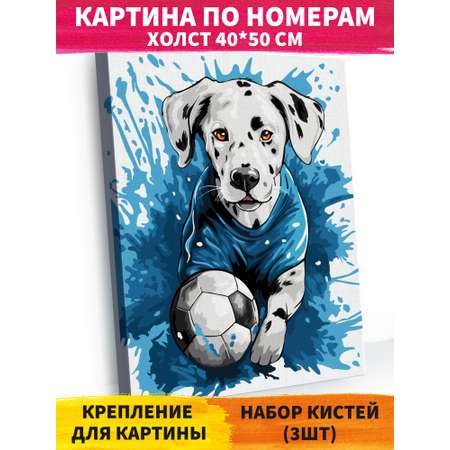 Картина по номерам Hobby Paint Игра в мяч в ассортименте