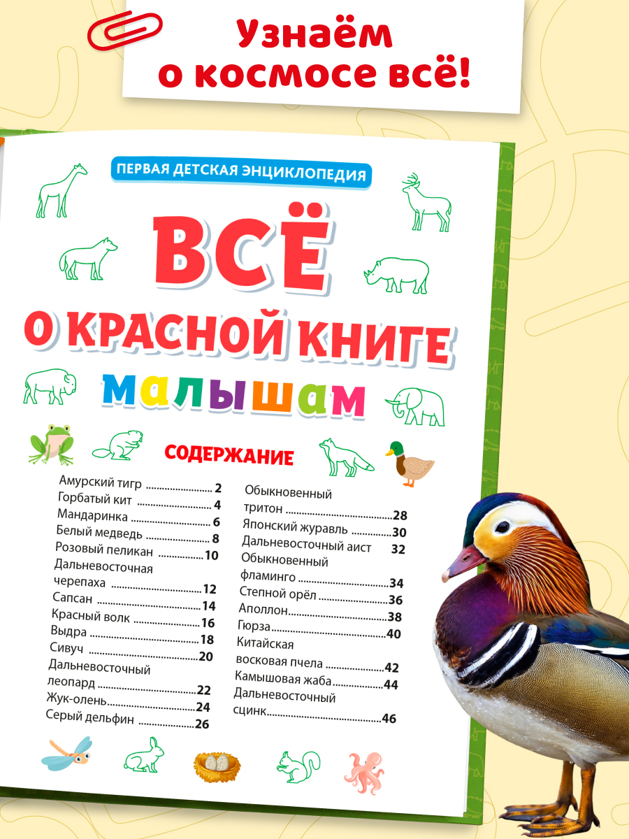 Книга Проф-Пресс Первая детская энциклопедия Всё о красной книге малышам - фото 3
