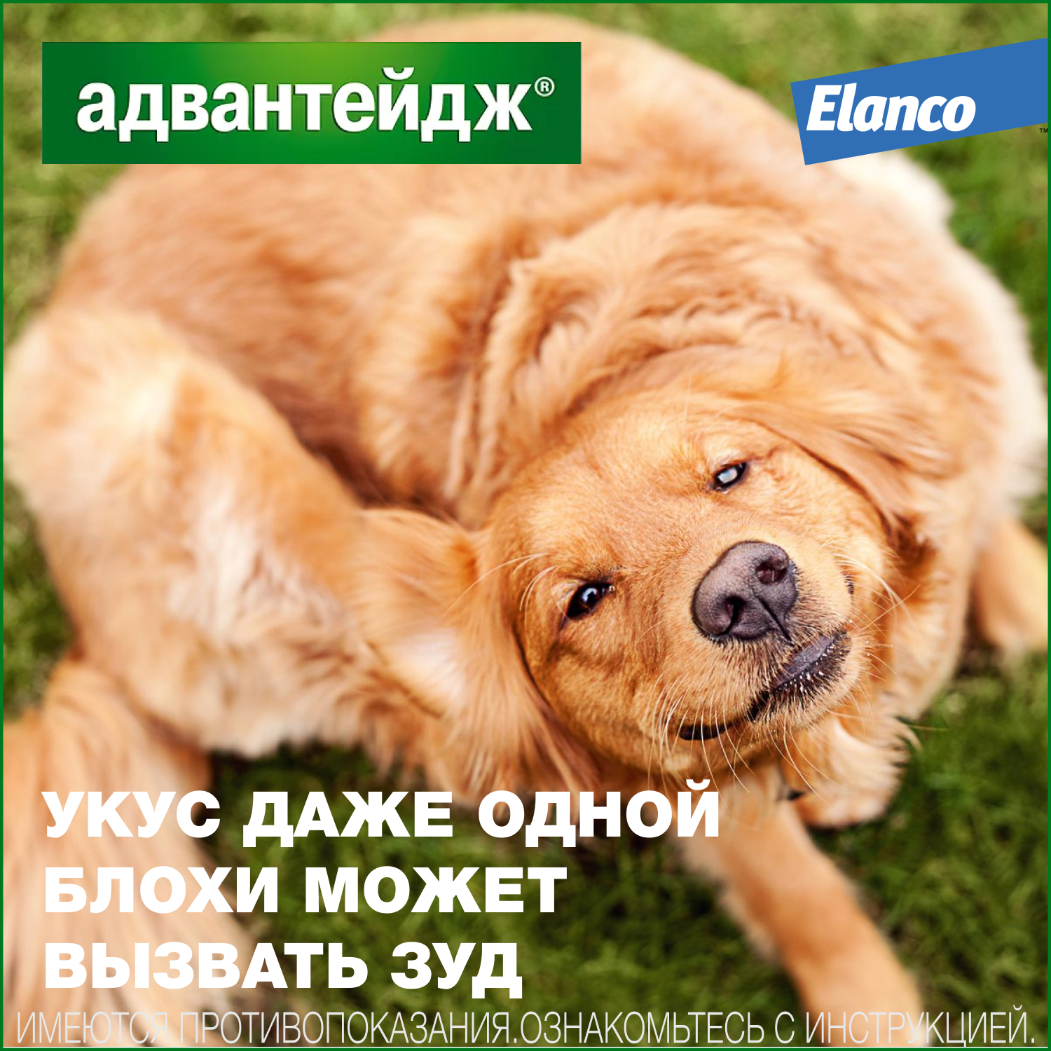 Капли для собак Elanco Адвантейдж против блох 4 пипетки - фото 3