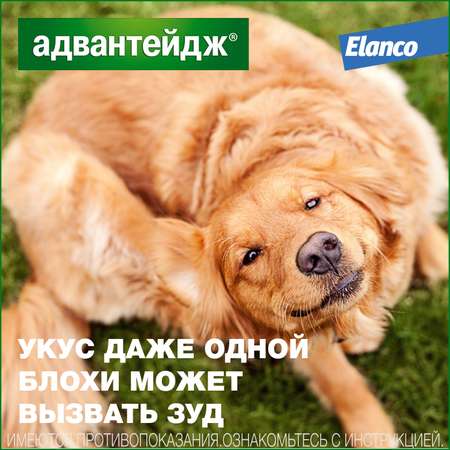 Капли для собак Elanco Адвантейдж против блох 4 пипетки