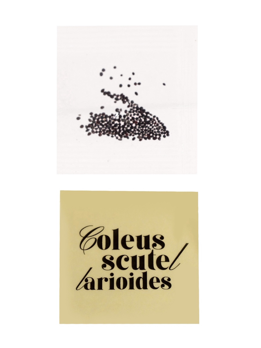 Набор для творчества Эврики - фото 10