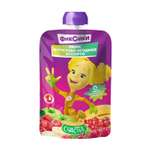 Пюре Фиксики Фруктово-ягодное ассорти с 6 мес 90 г