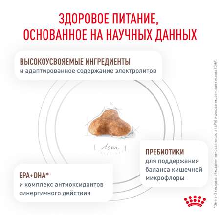 Корм для кошек ROYAL CANIN Fibre Response FR31 при запоре 2кг