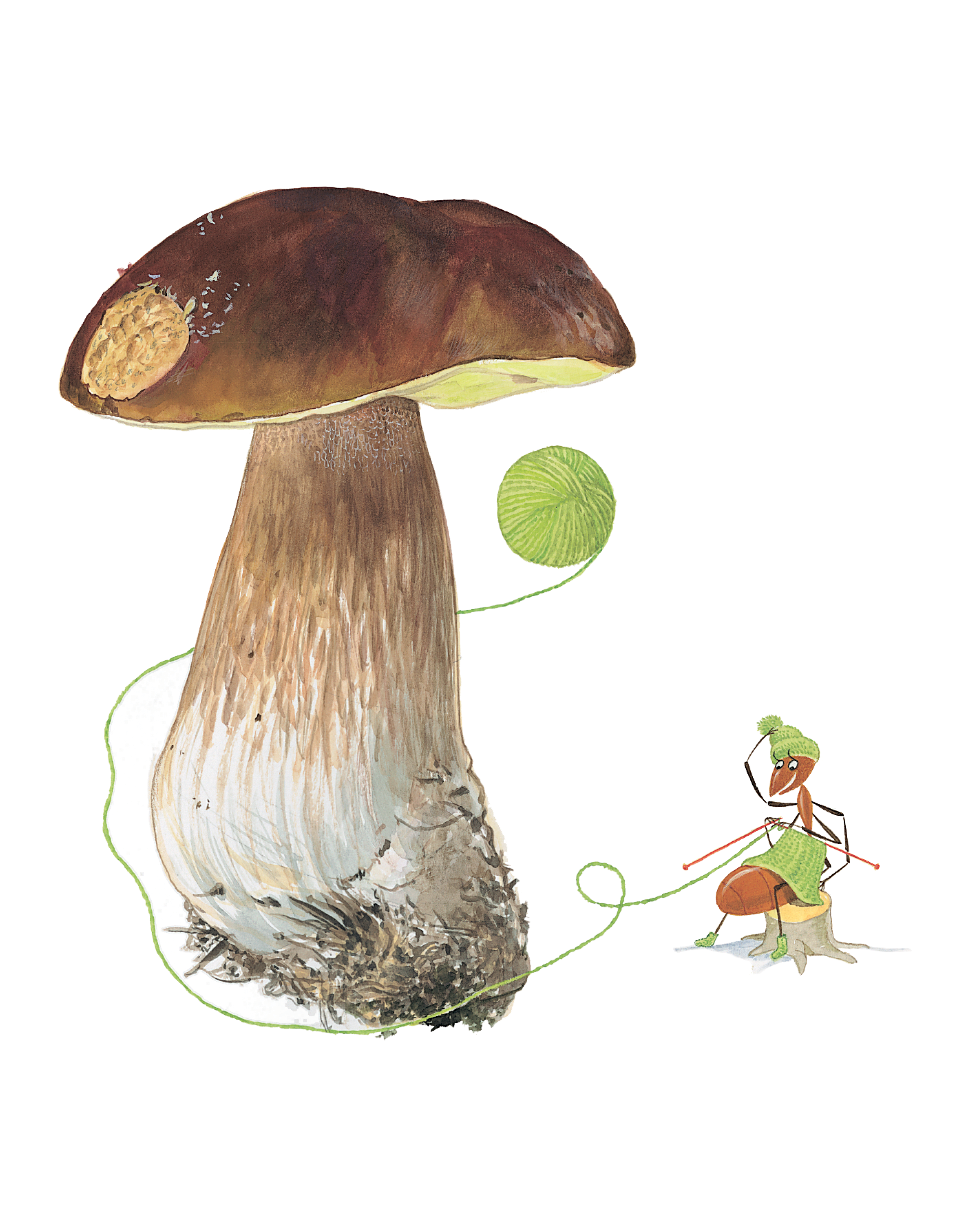 Книга ALBUS CORVUS Софи в мире грибов - фото 5