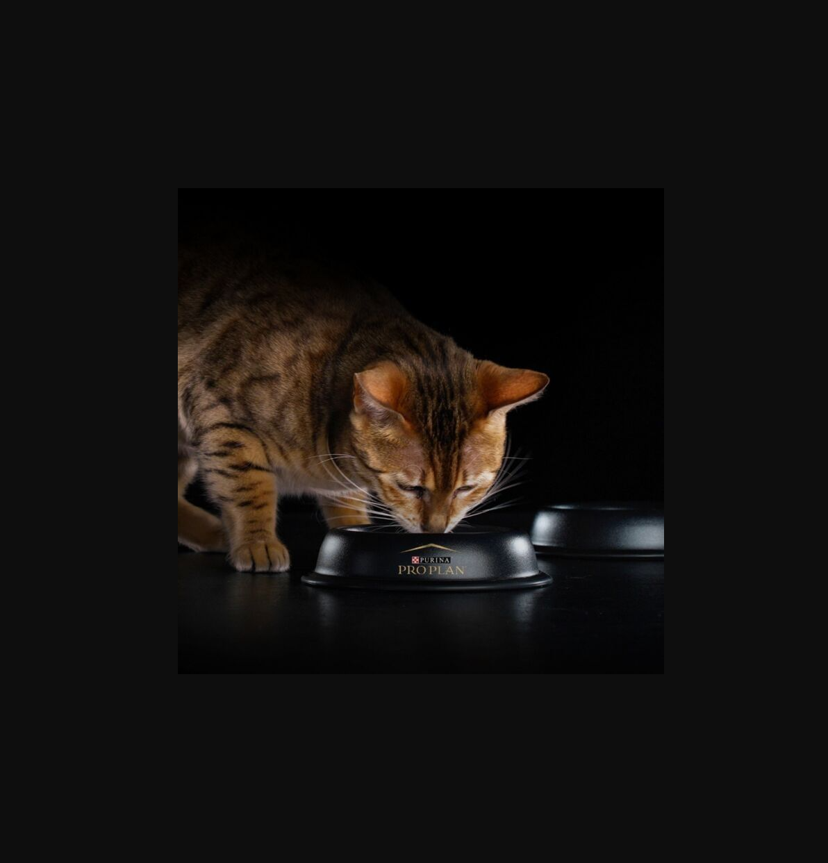 Сухой корм PRO PLAN OptiDerma Elegant Adult - фото 10