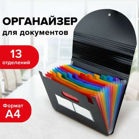 Папка-органайзер Brauberg для рисунков чертежей бумаг и документов