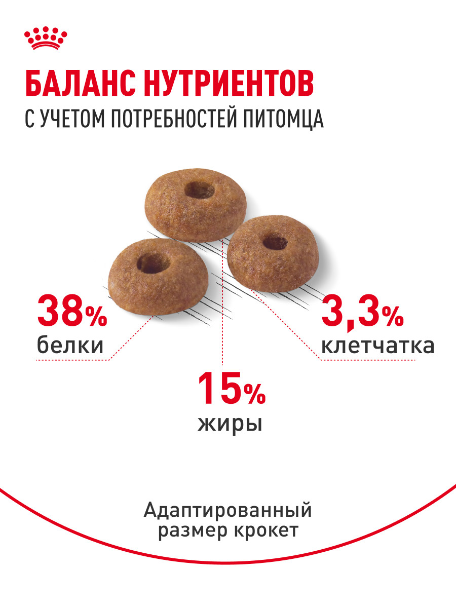 Корм сухой для кошек ROYAL CANIN 0.4кг Digestive care для поддержания здоровья пищеварительной системы - фото 4