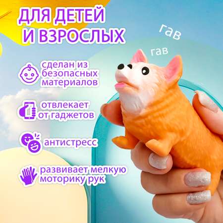 Сквиш ЭВРИКА