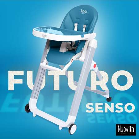 Стульчик для кормления Nuovita Futuro Senso классический