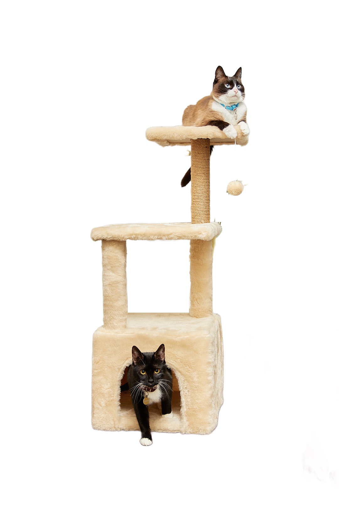 Домик для кошки с когтеточкой Pet БМФ Бежевый - фото 1