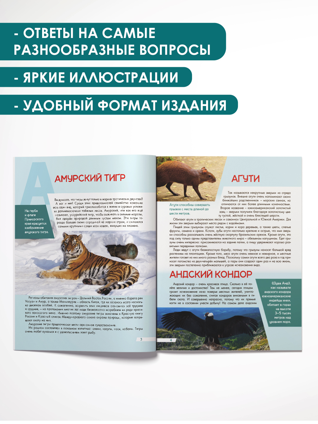 Книга Проф-Пресс Лучшая детская энциклопедия 96 стр мягкая обложка Животный мир от А до Я - фото 2