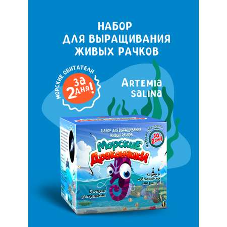 Набор для выращивания ВИСМА Вырасти Морские Дракончики