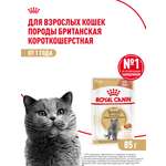 Корм для кошек ROYAL CANIN Брит соус 85г