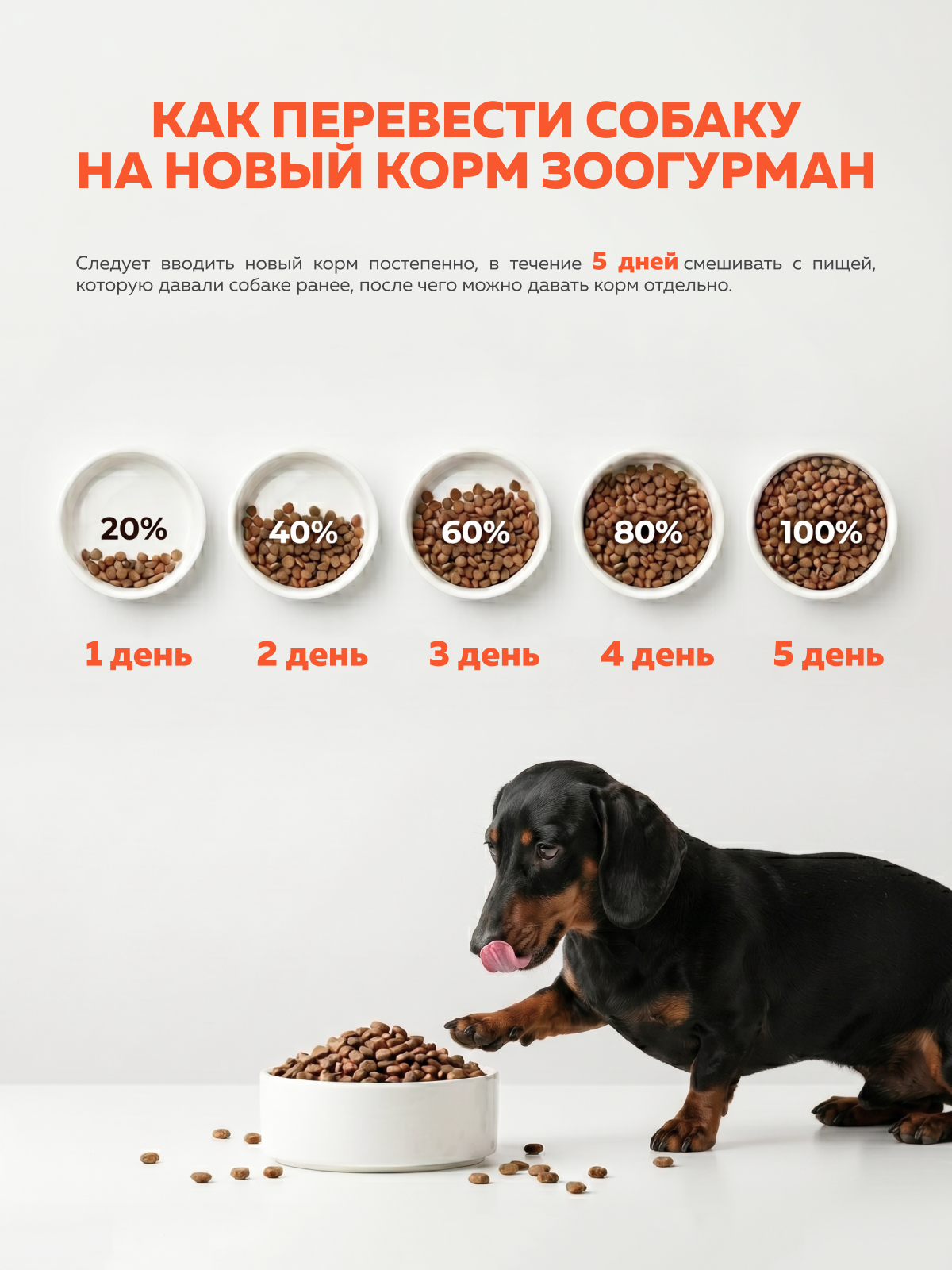 Корм сухой Зоогурман для собак мелких и средних пород Active Life телятина 1.2кг - фото 6