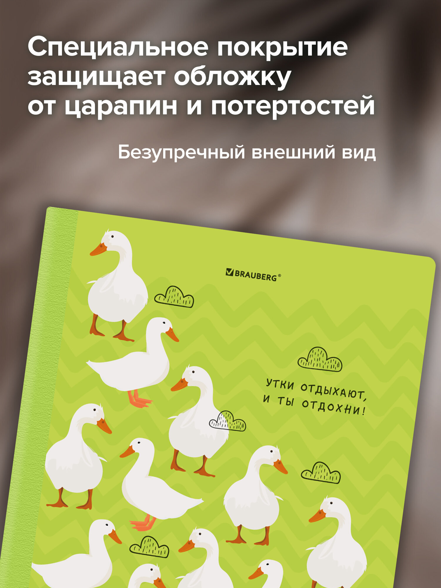 Тетрадь Brauberg клетка 96 лист. 2 шт. - фото 5