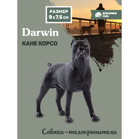 Фигурка DARWIN Собака Кане Корсо