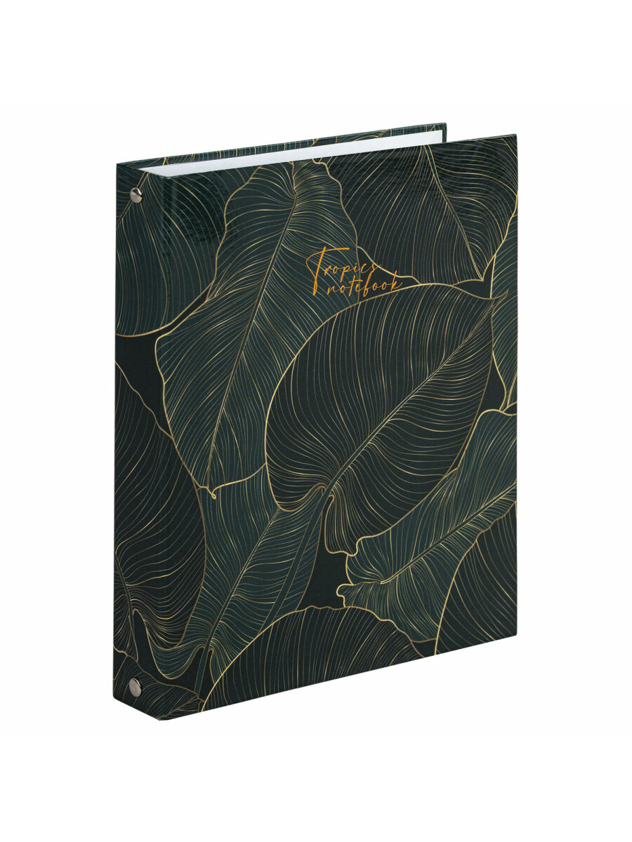 Тетрадь со сменным блоком Brauberg клетка 240 лист. - фото 3