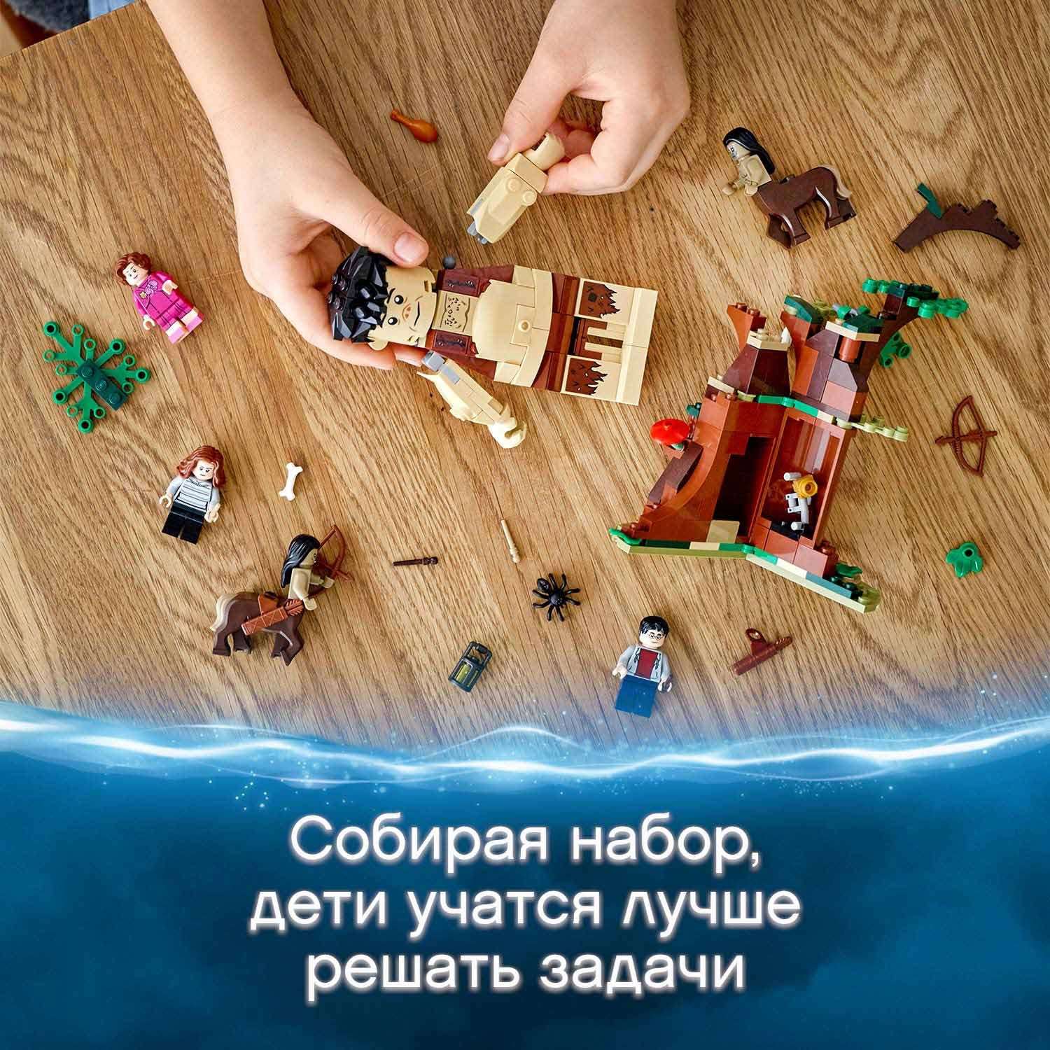 Конструктор LEGO Harry Potter Грохх и Долорес Амбридж блочный - фото 5