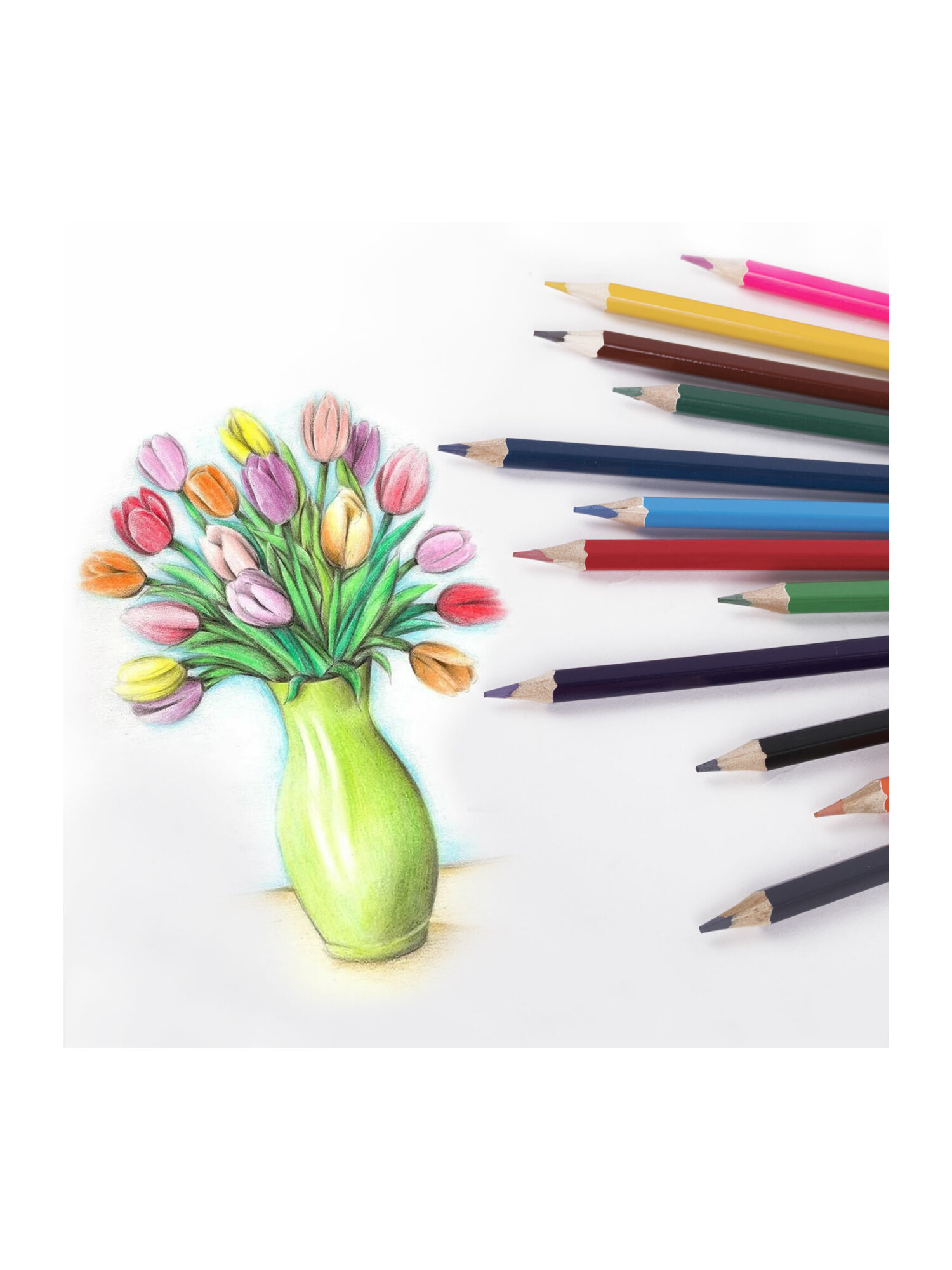 Карандаши цветные Brauberg 12 шт. - фото 15