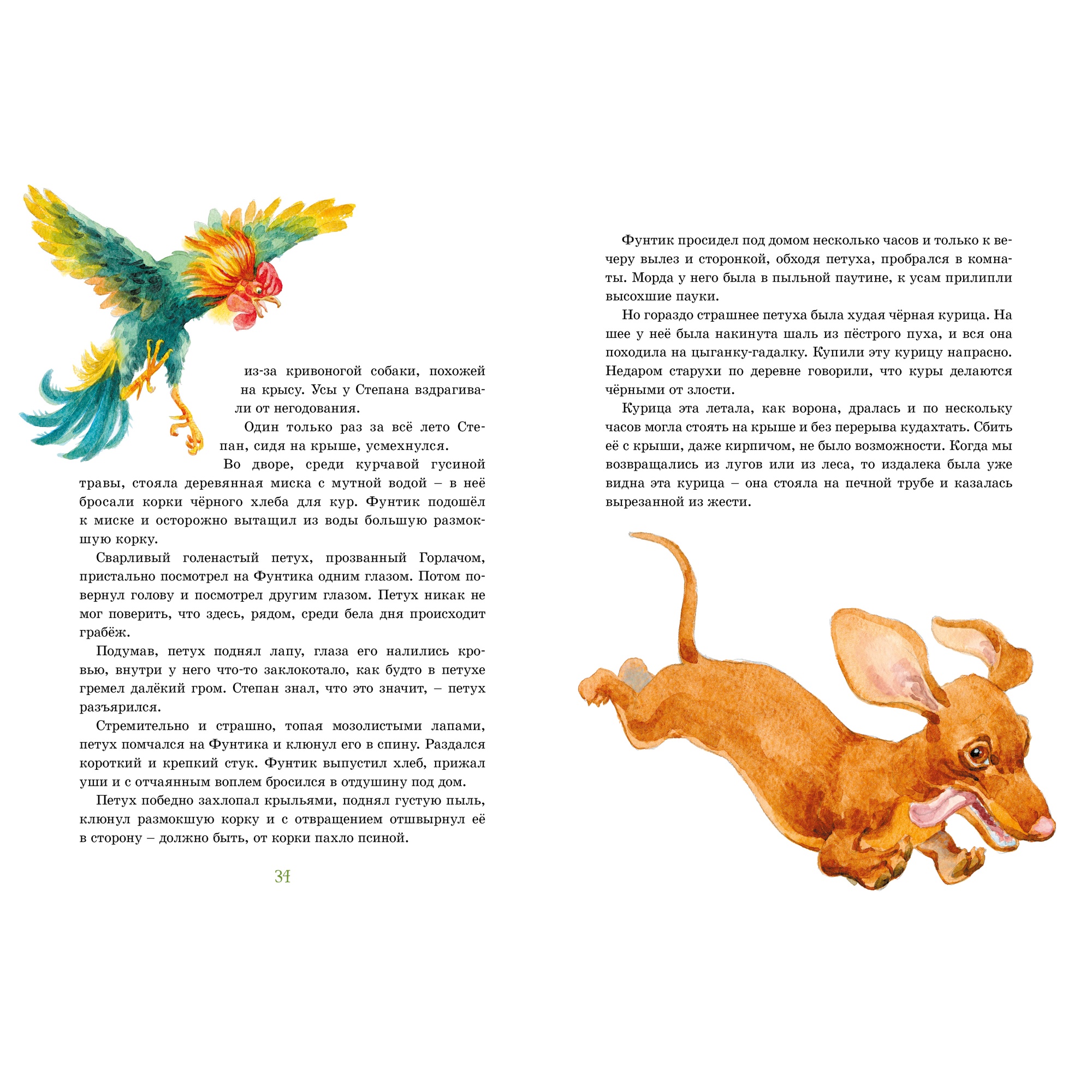 Книга МАХАОН Рассказы о животных Паустовский К. - фото 6