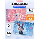 Альбом Prof-Press А4 40 лист. 2 шт.