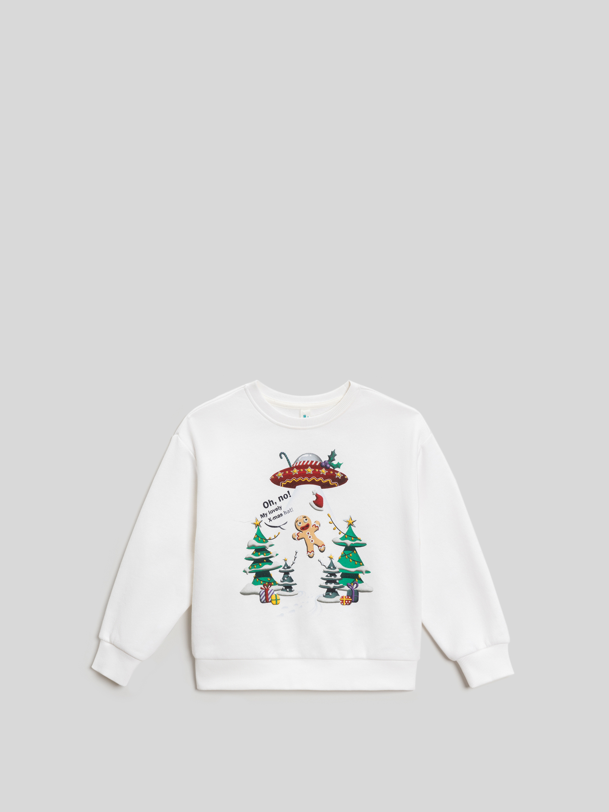 Свитшот Acoola 20120170199_0093493 - фото 4