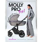 Коляска 3в1 Farfello Molly Pro серый