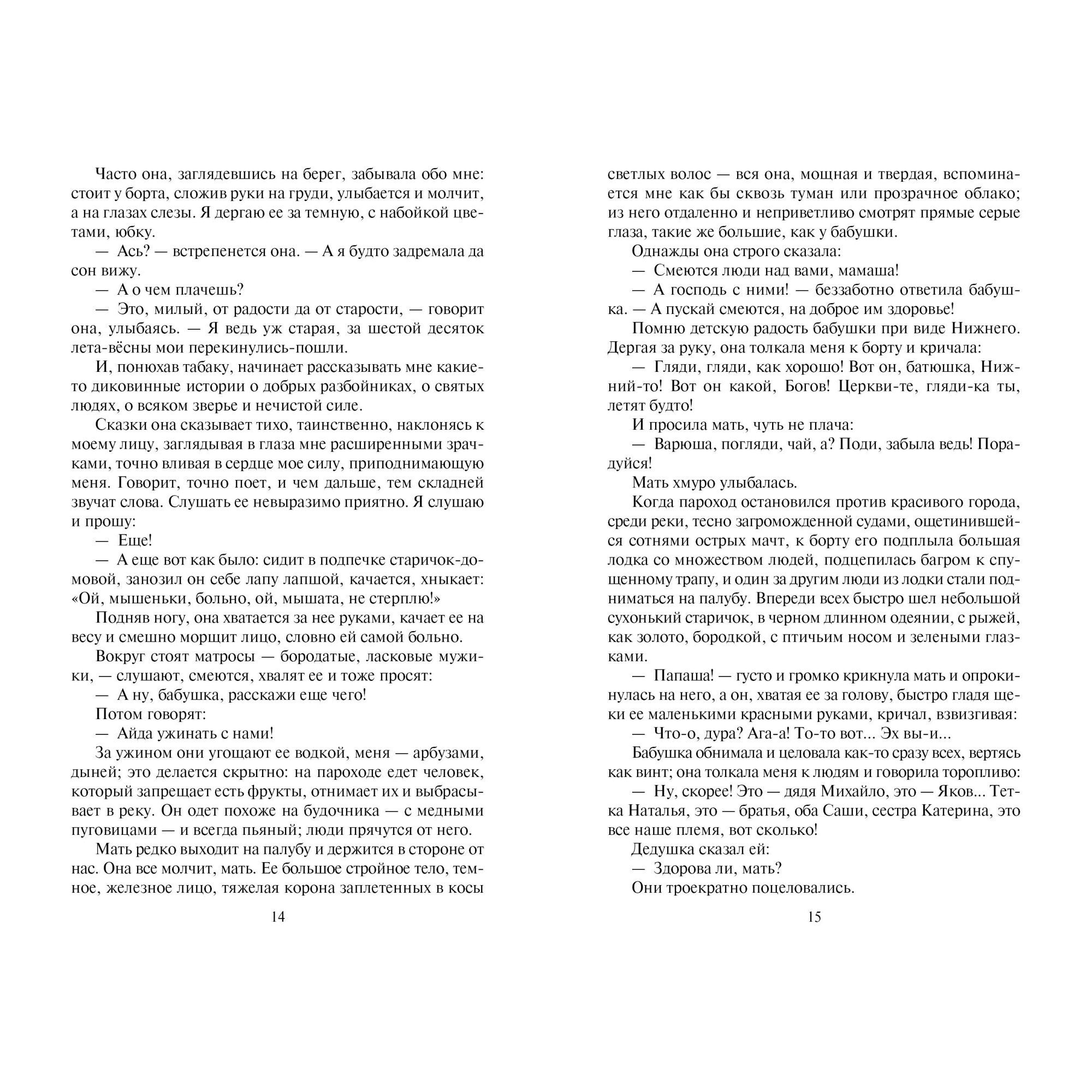 Книга АЗБУКА Песня о Соколе - фото 4