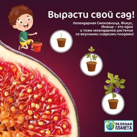 Набор для выращивания ЗЕЛЕНАЯ ПЛАНЕТА