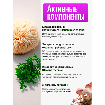 Ежовик гребенчатый Green Leaf Formula ноотроп для мозга и нервной системы бакопа монье