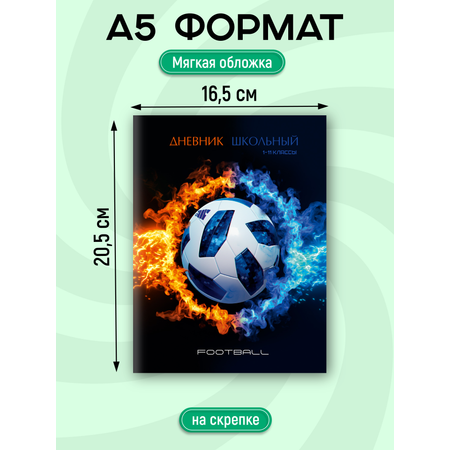 Дневник школьный Prof-Press 40 листов