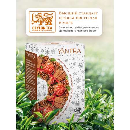 Чай Winter Yantra черный среднелистовой со специями Зимняя масала 100 г
