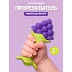 Прорезыватель DinoRhino Виноградик