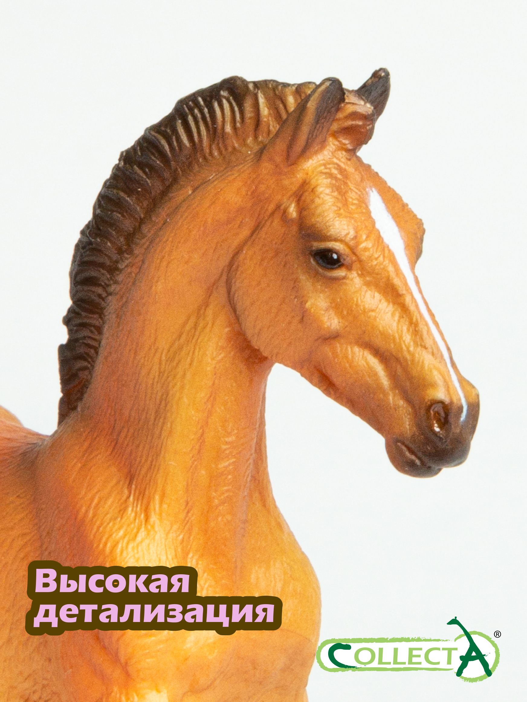 Фигурка Collecta Жеребёнок Ганноверский гнедой - фото 3