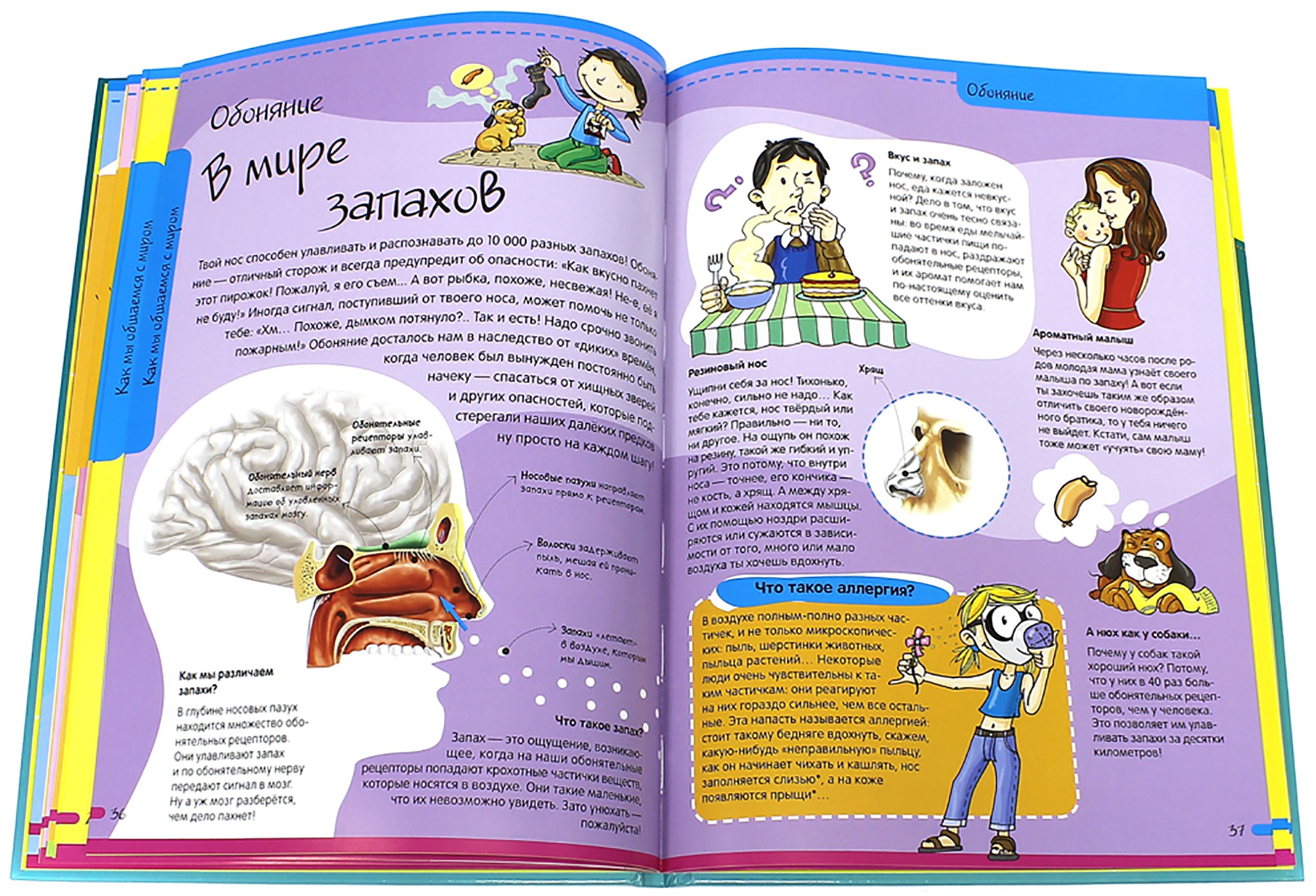 Книга Лабиринт Тело человека Нескучная анатомия - фото 5