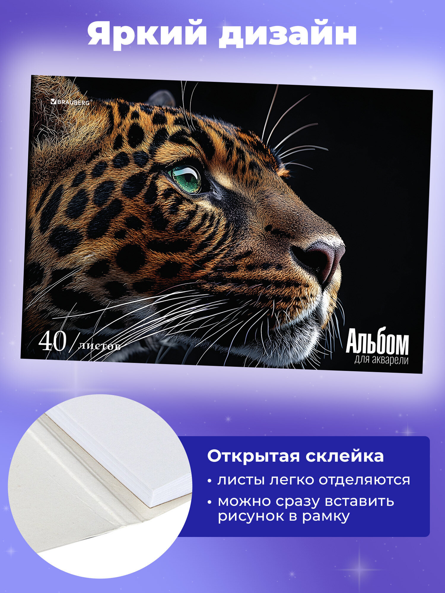Альбом Brauberg А4 40 лист. - фото 2