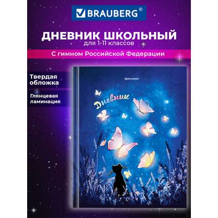 Дневник школьный Brauberg для 1-11 классов для мальчика 48 листов
