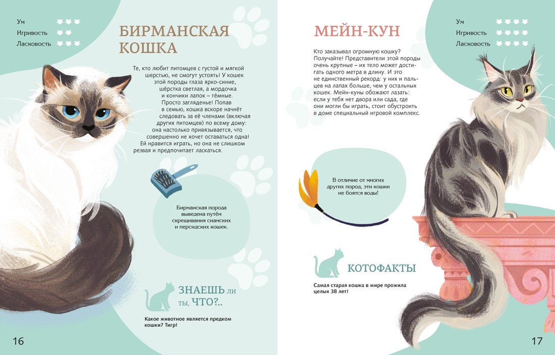 Книга Махаон Энц Вилла А Все все все домашние питомцы - фото 7
