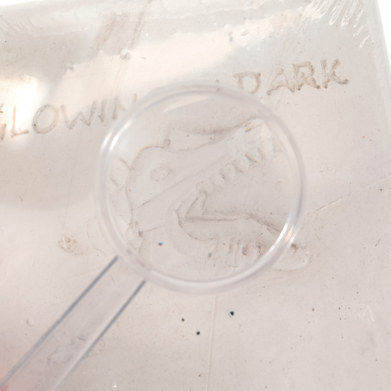 Настольная игра Играем вместе Спинозавр - фото 5