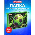 Папка для тетрадей Пифагор А4