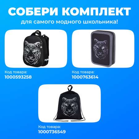 Ранец Brauberg
