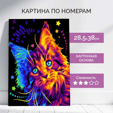 Картина по номерам LORI(колорит) Мейн кун