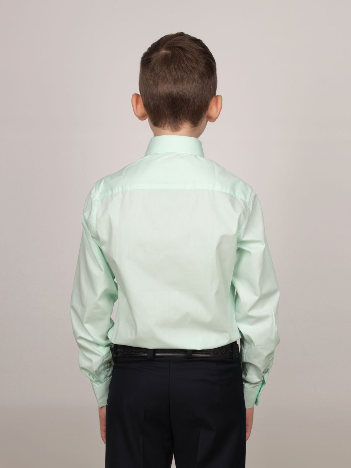 Рубашка Sky Lake 1210 CLASSIC SLIM FIT светло-салатовый - фото 2