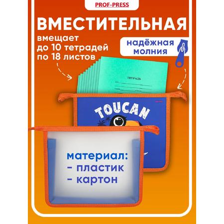 Папка для тетрадей Prof-Press Тукан сёрфер А5