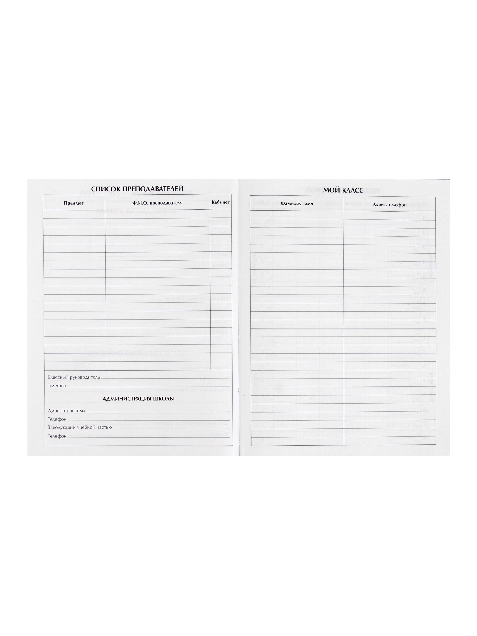 Дневник Calligrata школьный для 1-11 класса - фото 8