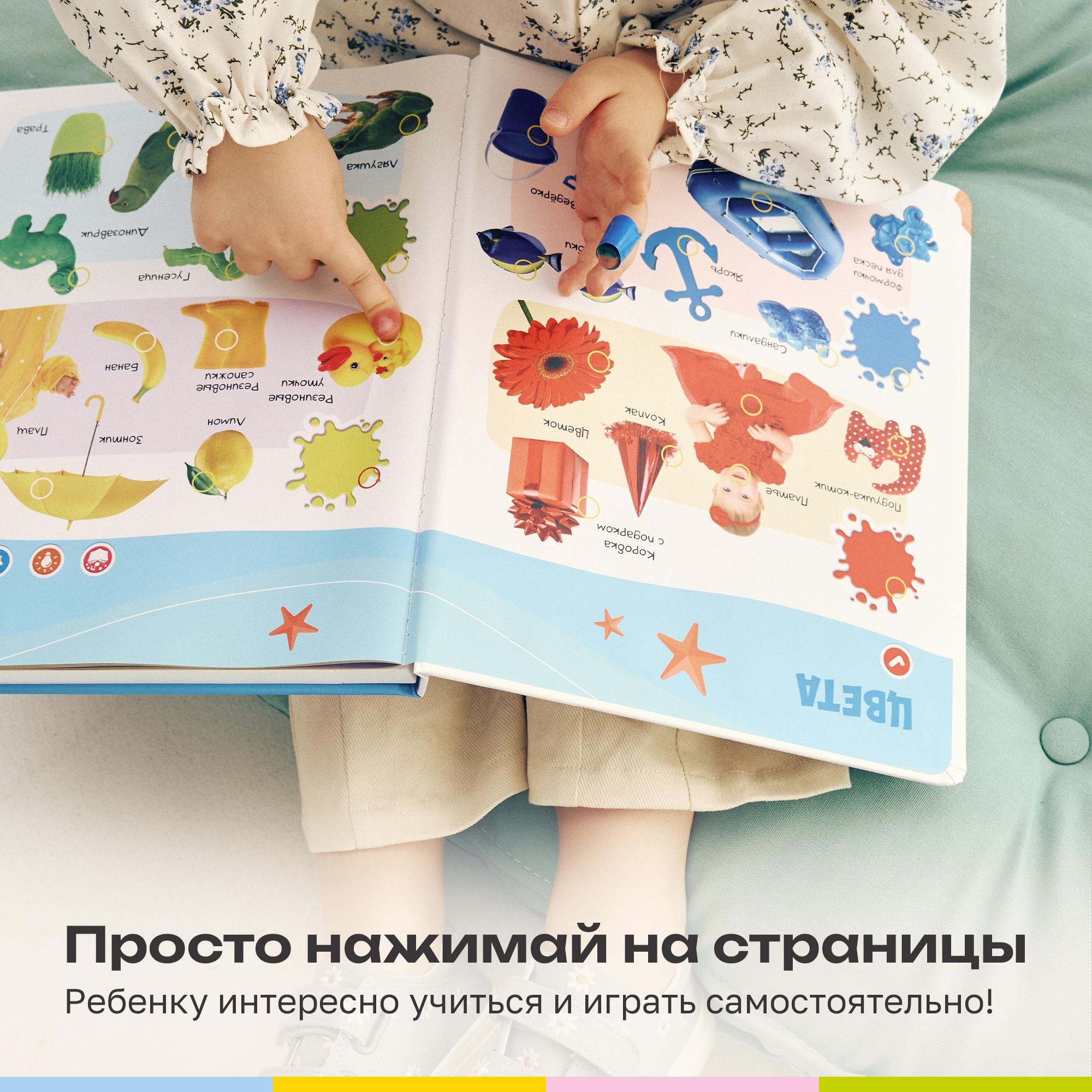 Говорящая книжка BertToys большая нажималка Первые знания - фото 3