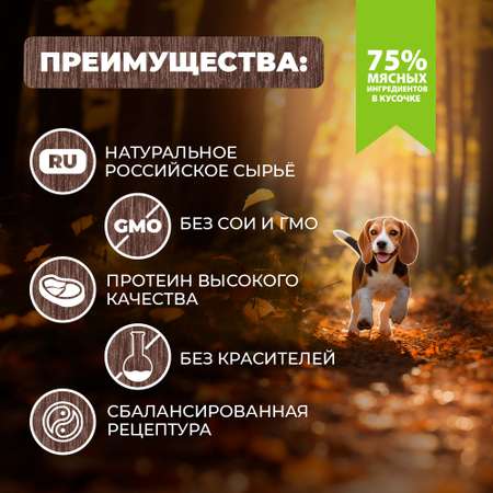 Корм для собак Родные корма По-суздальски мясные кусочки в соусе 410г