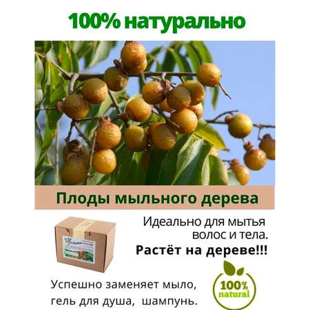 Концентрат Мыльные орехи