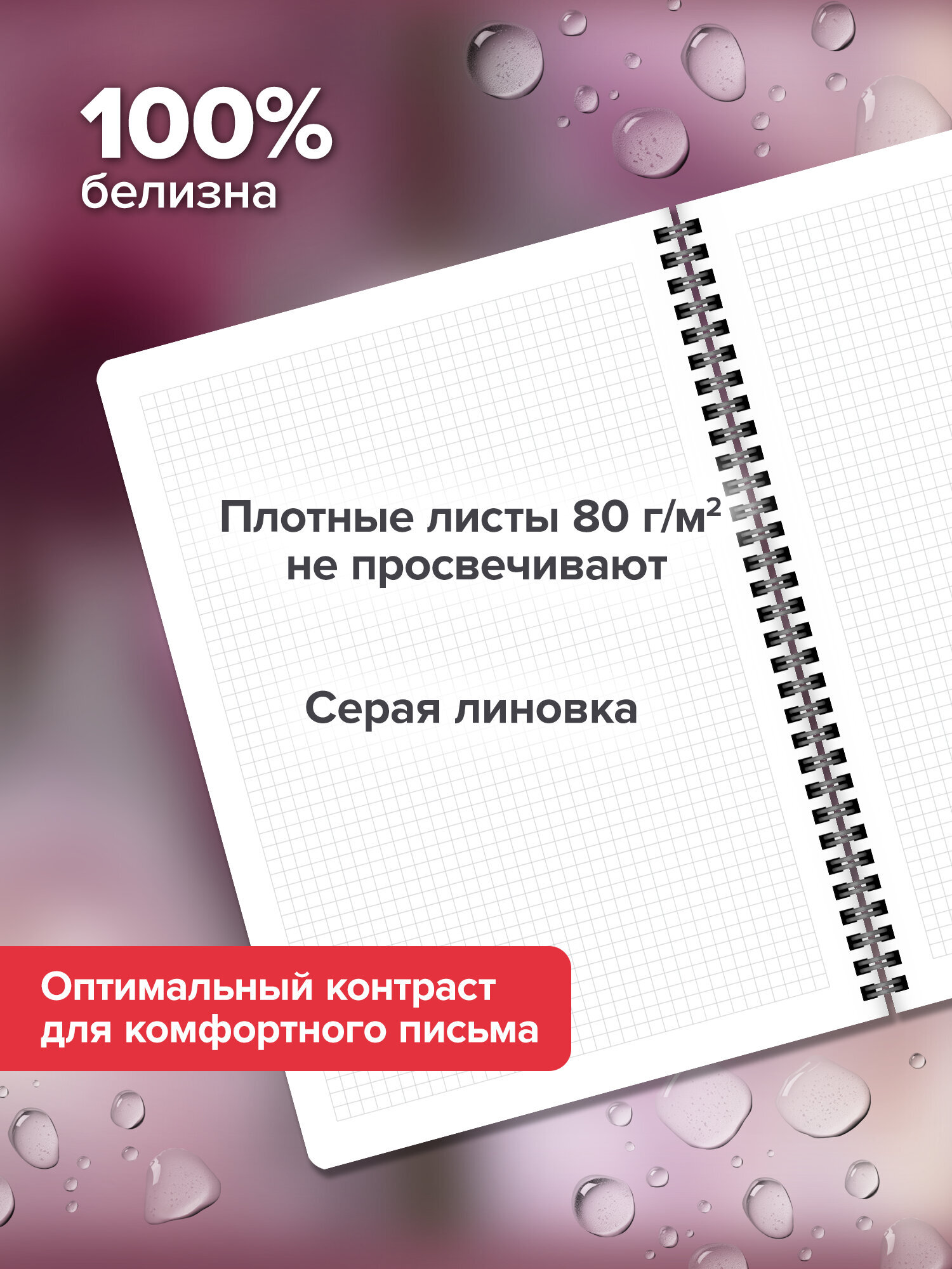 Общая тетрадь Brauberg клетка 96 лист. 2 шт. - фото 3
